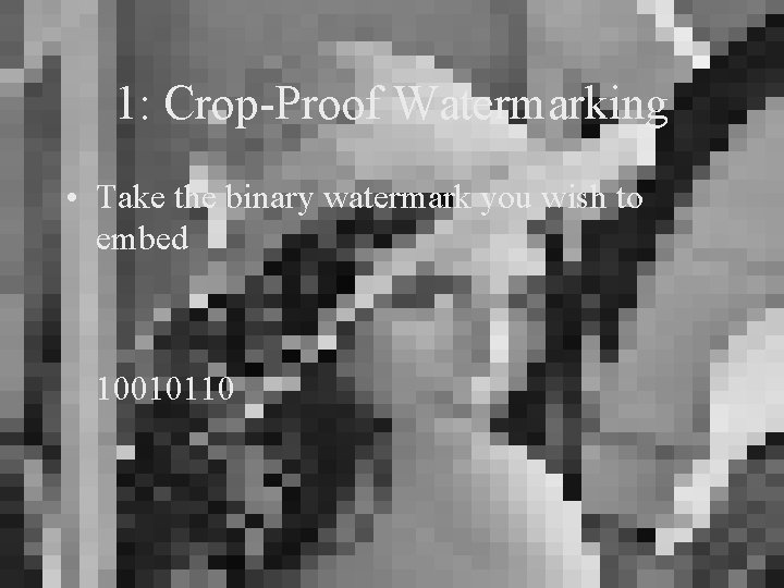 1: Crop-Proof Watermarking • Take the binary watermark you wish to embed 10010110 