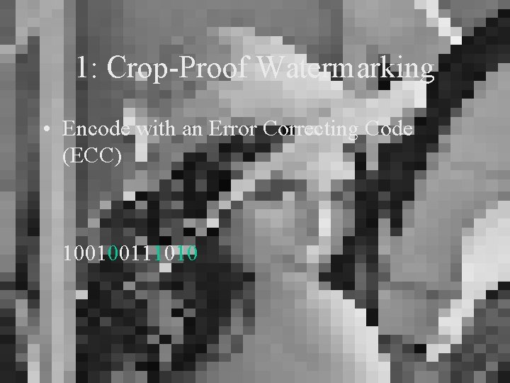 1: Crop-Proof Watermarking • Encode with an Error Correcting Code (ECC) 100100111010 