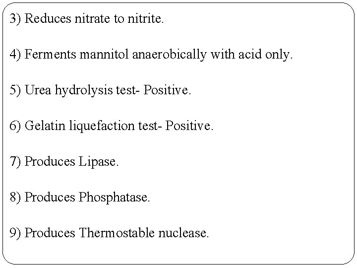 3) Reduces nitrate to nitrite. 4) Ferments mannitol anaerobically with acid only. 5) Urea