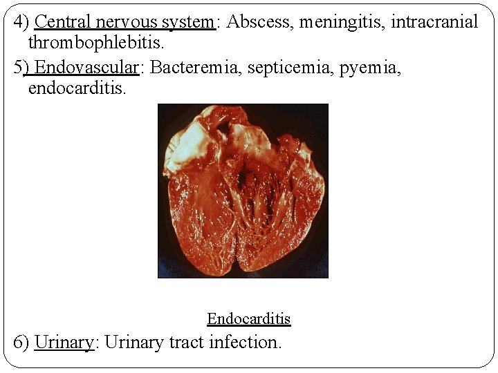 4) Central nervous system: Abscess, meningitis, intracranial thrombophlebitis. 5) Endovascular: Bacteremia, septicemia, pyemia, endocarditis.