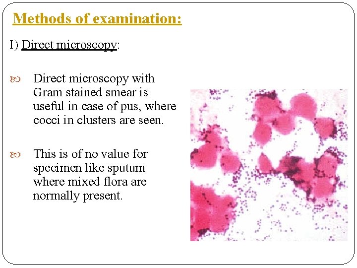 Methods of examination: I) Direct microscopy: Direct microscopy with Gram stained smear is useful