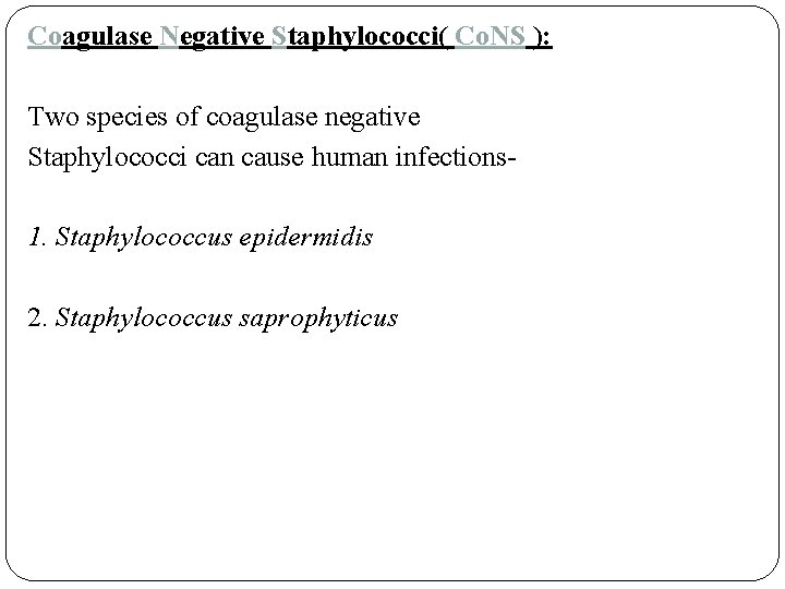 Coagulase Negative Staphylococci( Co. NS ): Two species of coagulase negative Staphylococci can cause