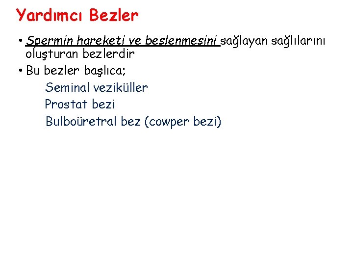 Yardımcı Bezler • Spermin hareketi ve beslenmesini sağlayan sağlılarını oluşturan bezlerdir • Bu bezler