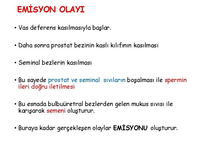 EMİSYON OLAYI • Vas deferens kasılmasıyla başlar. • Daha sonra prostat bezinin kaslı kılıfının