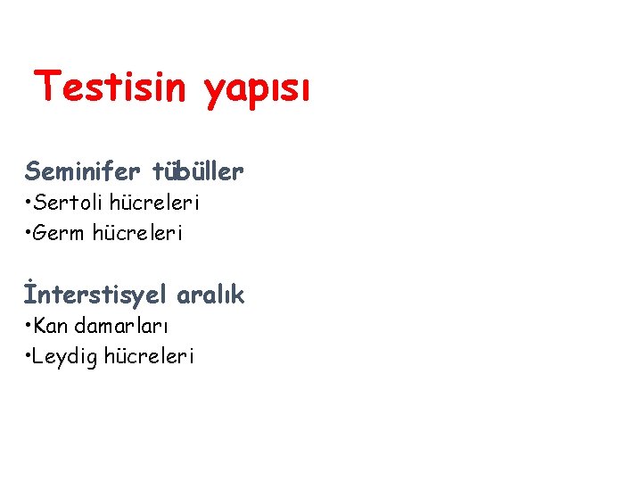 Testisin yapısı Seminifer tübüller • Sertoli hücreleri • Germ hücreleri İnterstisyel aralık • Kan Testisin yapısı Seminifer tübüller • Sertoli hücreleri • Germ hücreleri İnterstisyel aralık • Kan