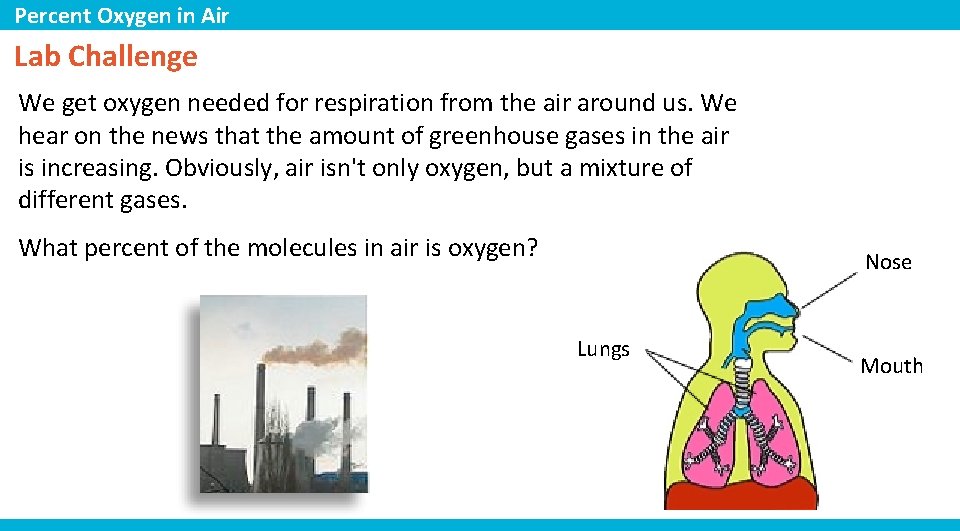 Percent Oxygen in Air Lab Challenge We get oxygen needed for respiration from the