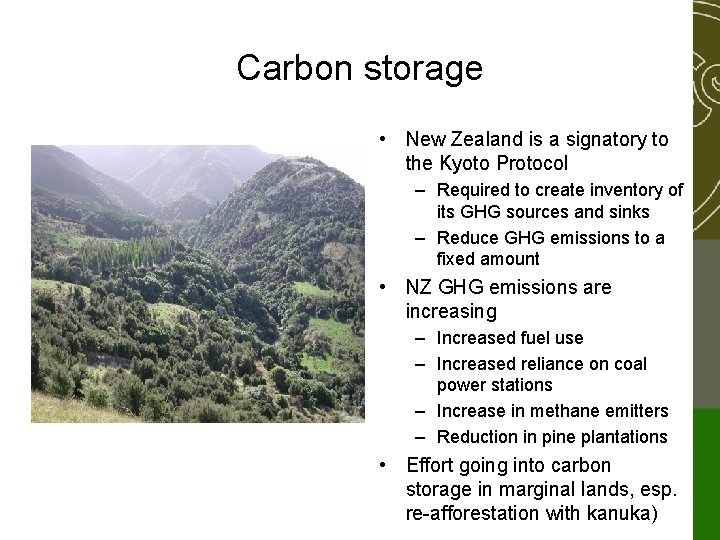 Seasonal Changes Of Soil And Ecosystem Respiration In