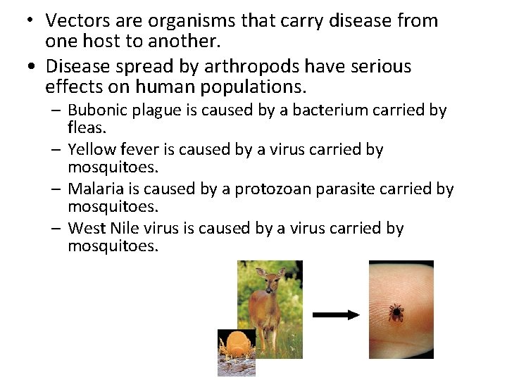  • Vectors are organisms that carry disease from one host to another. •