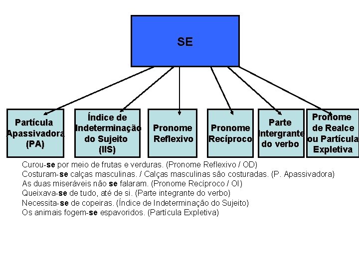 SE Partícula Apassivadora (PA) Índice de Indeterminação do Sujeito (IIS) Pronome Reflexivo Pronome Parte