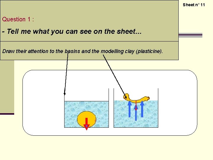 Sheet n° 11 Question 1 : - Tell me what you can see on