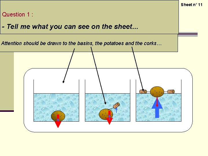 Sheet n° 11 Question 1 : - Tell me what you can see on