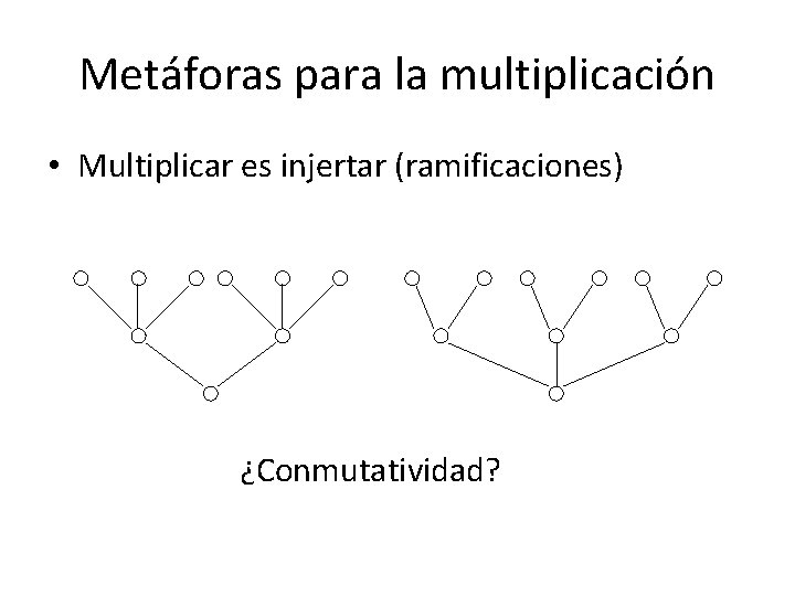 Metáforas para la multiplicación • Multiplicar es injertar (ramificaciones) ¿Conmutatividad? 