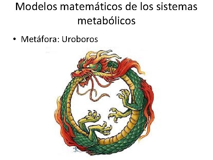 Modelos matemáticos de los sistemas metabólicos • Metáfora: Uroboros 