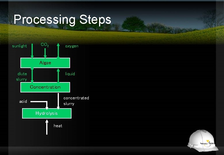 Processing Steps sunlight CO 2 oxygen Algae dlute slurry liquid Concentration concentrated slurry acid