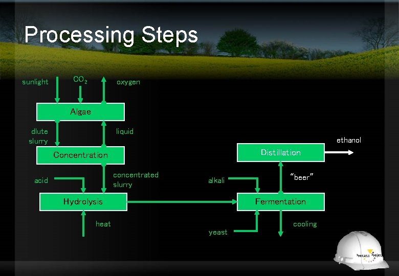 Processing Steps sunlight CO 2 oxygen Algae dlute slurry liquid ethanol Distillation Concentration concentrated