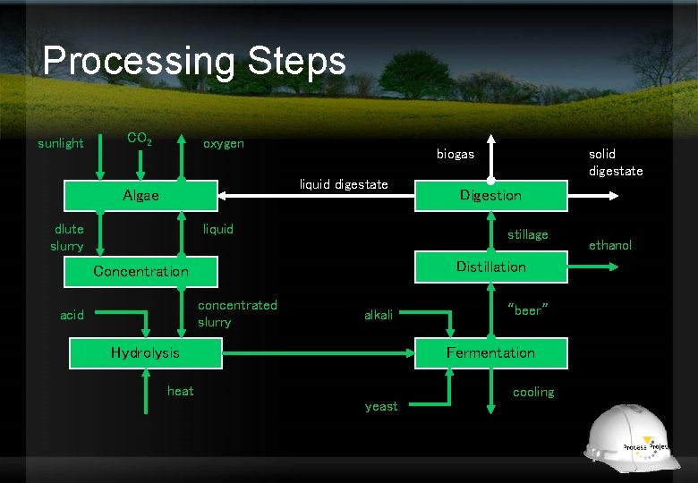 Processing Steps sunlight CO 2 oxygen biogas liquid digestate Algae dlute slurry liquid Digestion