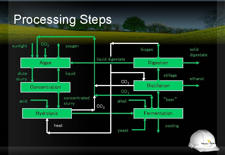 Processing Steps sunlight CO 2 oxygen biogas liquid digestate Algae dlute slurry liquid Digestion Processing Steps sunlight CO 2 oxygen biogas liquid digestate Algae dlute slurry liquid Digestion