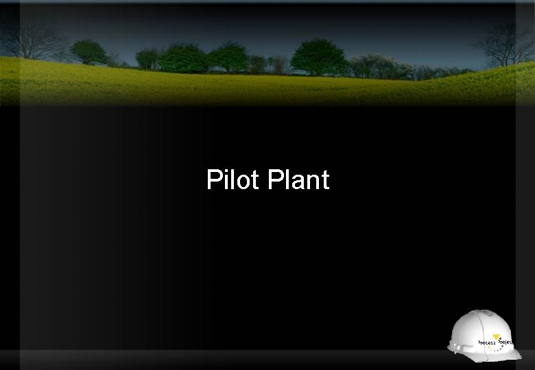 Pilot Plant 