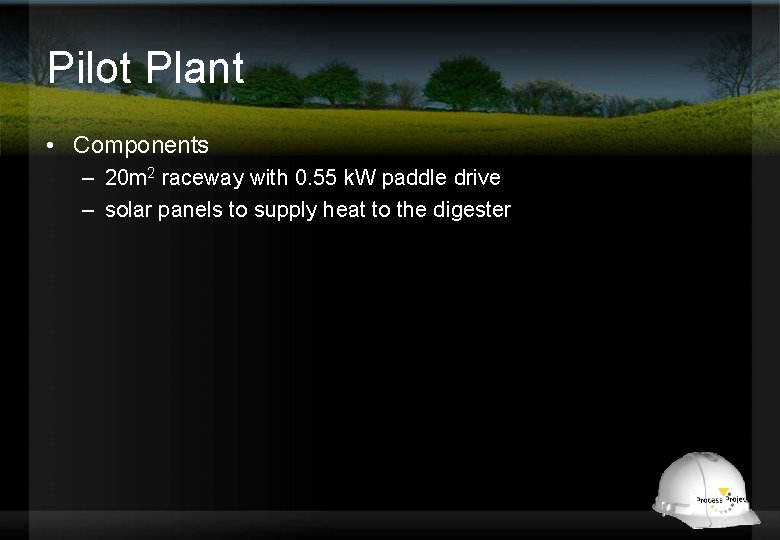 Pilot Plant • Components – 20 m 2 raceway with 0. 55 k. W