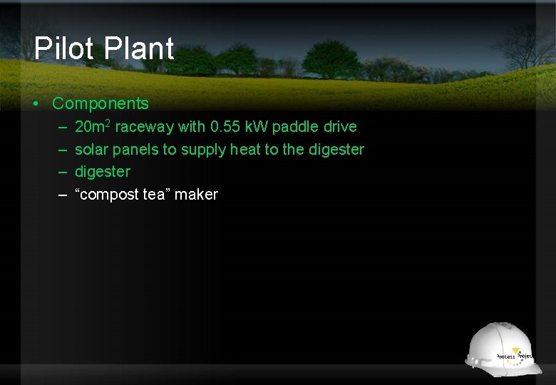 Pilot Plant • Components – – 20 m 2 raceway with 0. 55 k.