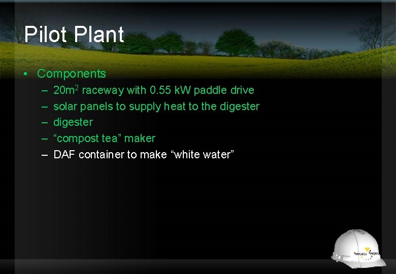 Pilot Plant • Components – – – 20 m 2 raceway with 0. 55