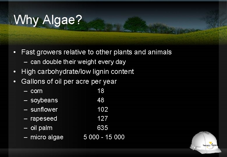 Why Algae? • Fast growers relative to other plants and animals – can double