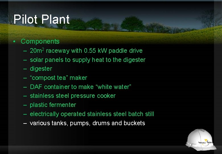 Pilot Plant • Components – – – – – 20 m 2 raceway with