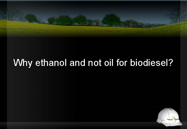 Why ethanol and not oil for biodiesel? 