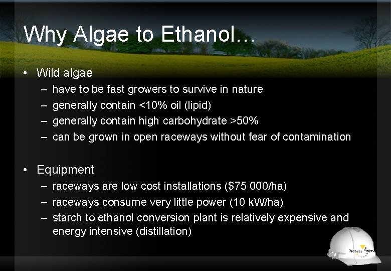 Why Algae to Ethanol… • Wild algae – – have to be fast growers