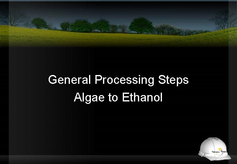 General Processing Steps Algae to Ethanol 
