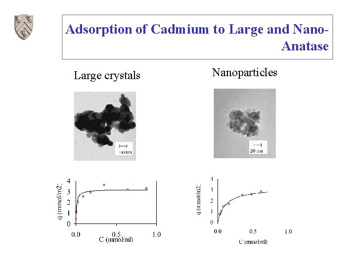 Adsorption of Cadmium to Large and Nano. Anatase Large crystals Nanoparticles 