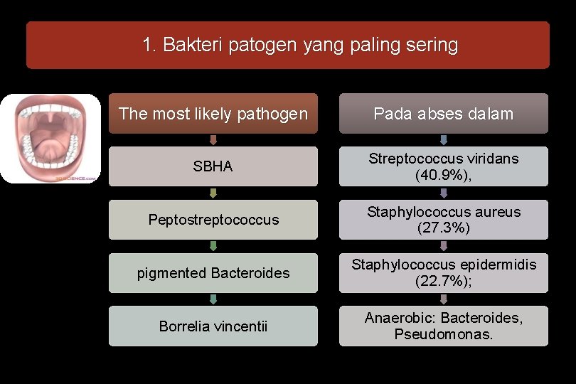 1. Bakteri patogen yang paling sering The most likely pathogen Pada abses dalam SBHA