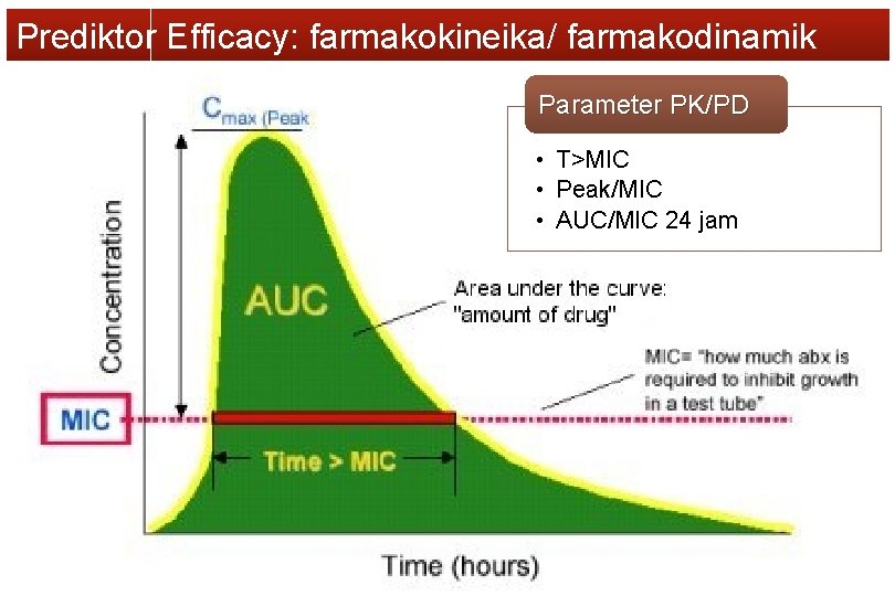 Prediktor Efficacy: farmakokineika/ farmakodinamik Parameter PK/PD • T>MIC • Peak/MIC • AUC/MIC 24 jam