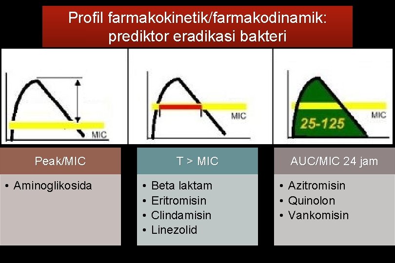 Profil farmakokinetik/farmakodinamik: prediktor eradikasi bakteri Peak/MIC • Aminoglikosida T > MIC • • Beta