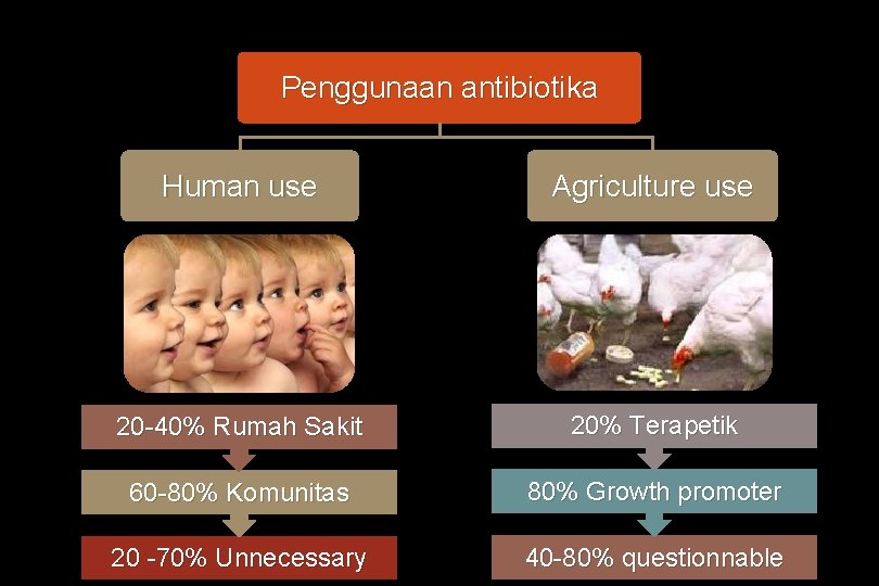 Penggunaan antibiotika Human use Agriculture use 20 -40% Rumah Sakit 20% Terapetik 60 -80%