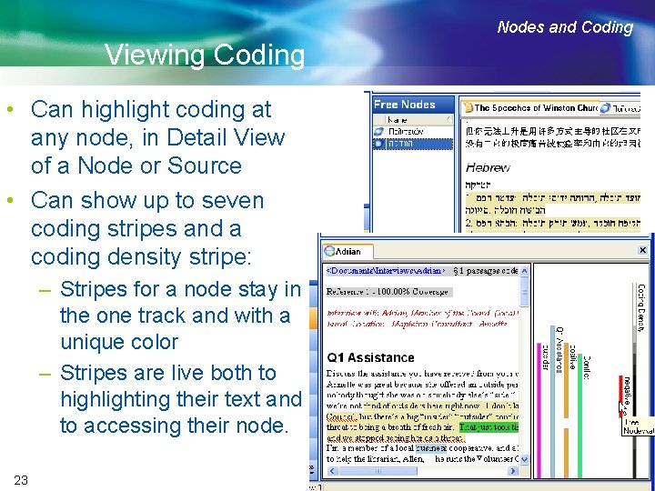 Nodes and Coding Viewing Coding • Can highlight coding at any node, in Detail