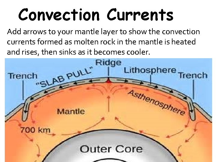 Convection Currents Add arrows to your mantle layer to show the convection currents formed