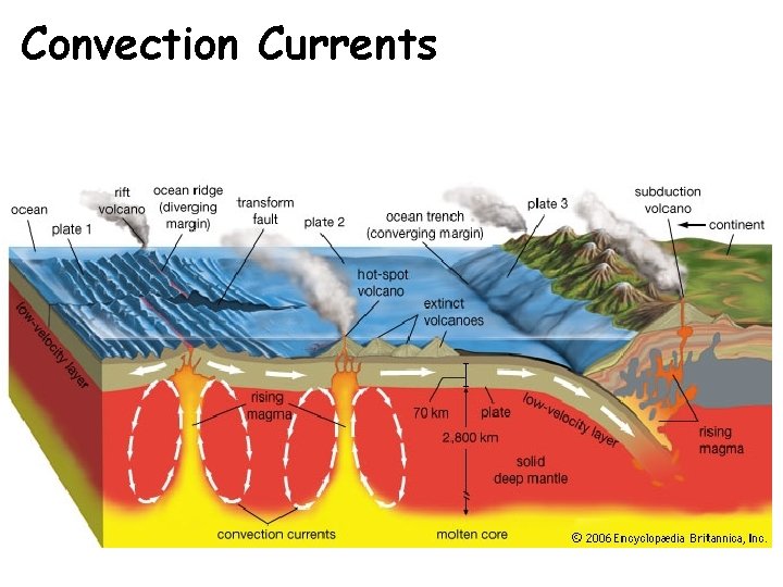 Convection Currents 