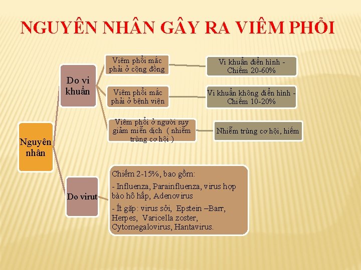 NGUYÊN NH N G Y RA VIÊM PHỔI Do vi khuẩn Viêm phổi mắc