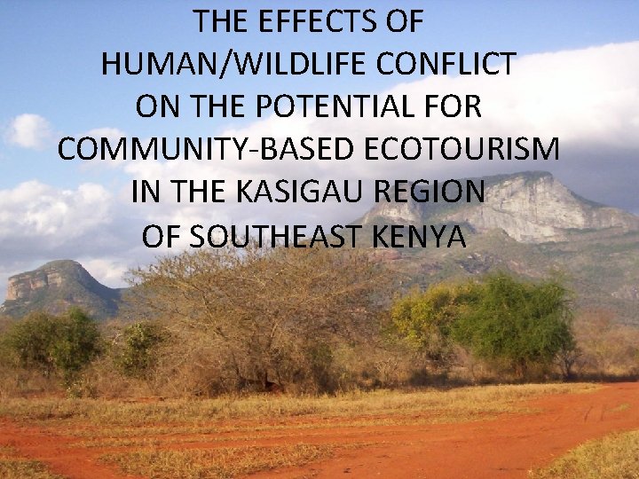 THE EFFECTS OF HUMAN/WILDLIFE CONFLICT ON THE POTENTIAL FOR COMMUNITY-BASED ECOTOURISM IN THE KASIGAU