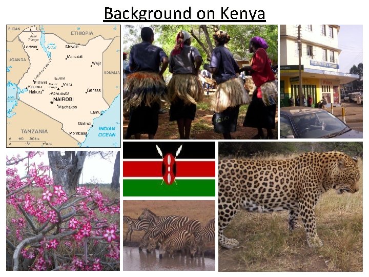 Background on Kenya 