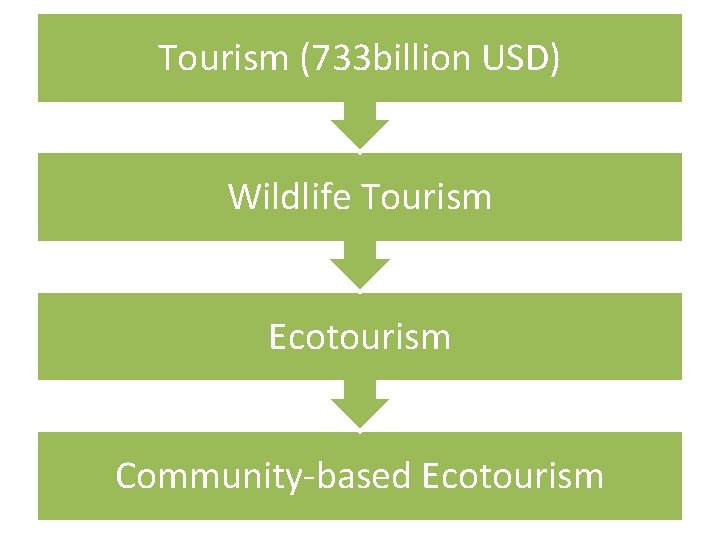 Tourism (733 billion USD) Wildlife Tourism Ecotourism Community-based Ecotourism 