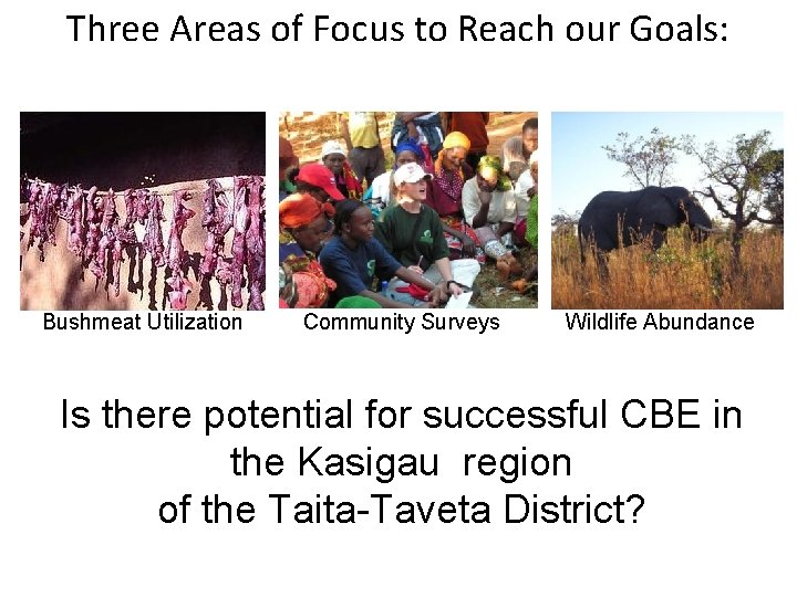 Three Areas of Focus to Reach our Goals: Bushmeat Utilization Community Surveys Wildlife Abundance