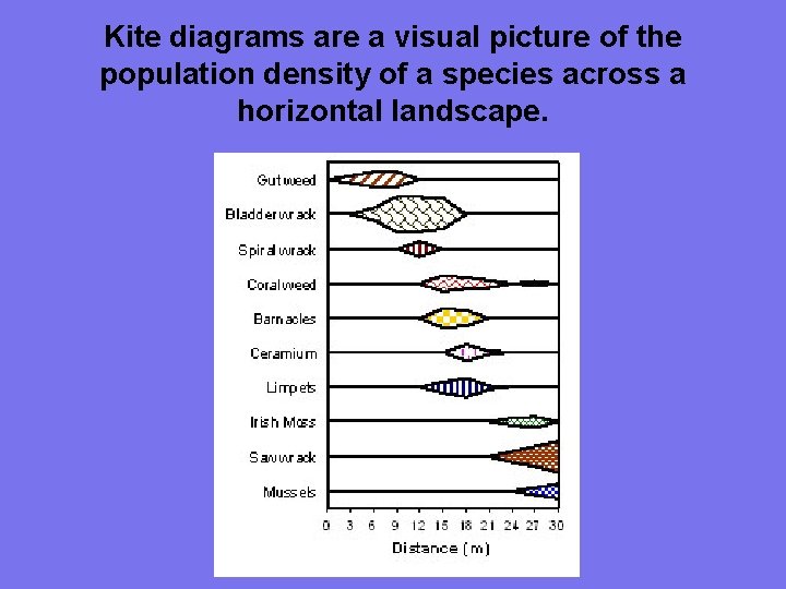 Kite diagrams are a visual picture of the population density of a species across
