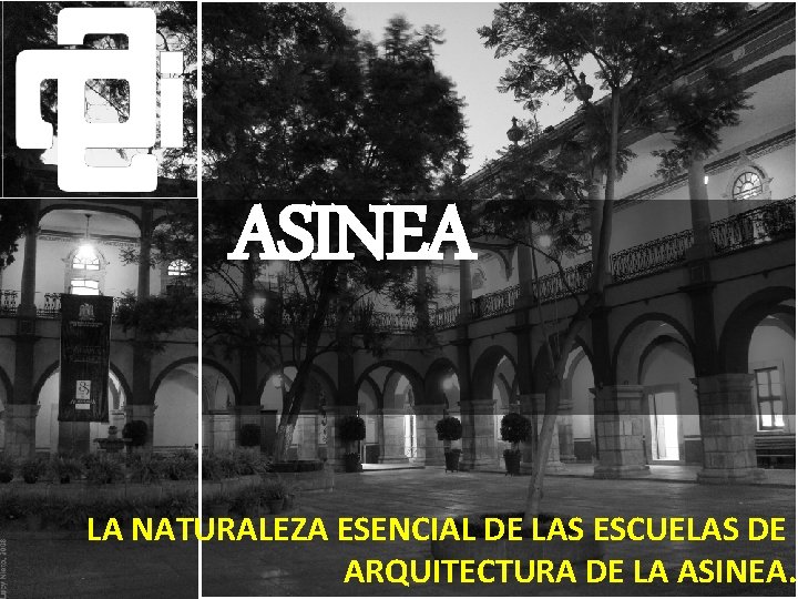 ASINEA LA NATURALEZA ESENCIAL DE LAS ESCUELAS DE ARQUITECTURA DE LA ASINEA. 