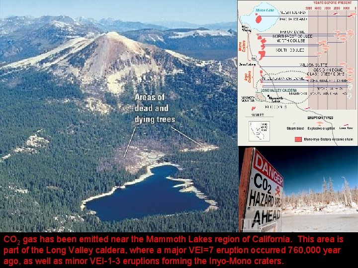 CO 2 gas has been emitted near the Mammoth Lakes region of California. This