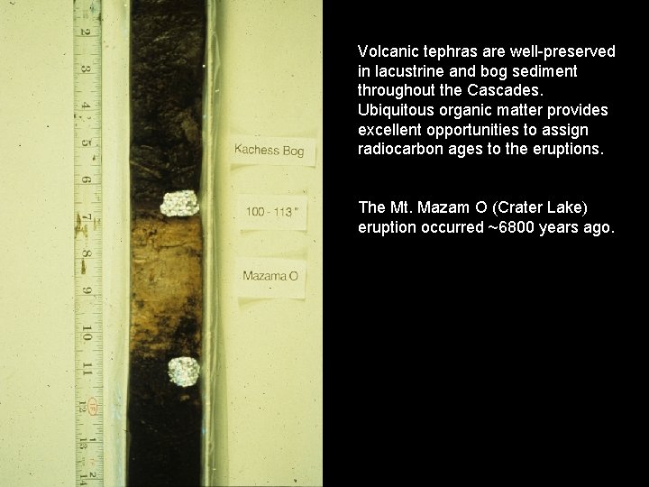 Volcanic tephras are well-preserved in lacustrine and bog sediment throughout the Cascades. Ubiquitous organic