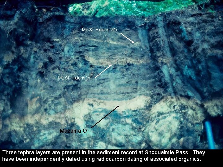 Mt. St. Helens Wn Mt. St. Helens Yn Mazama O Three tephra layers are