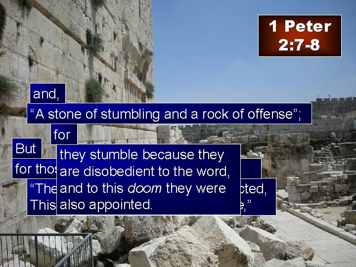 1 Peter 2: 7 -8 and, “A stone of stumbling and a rock of