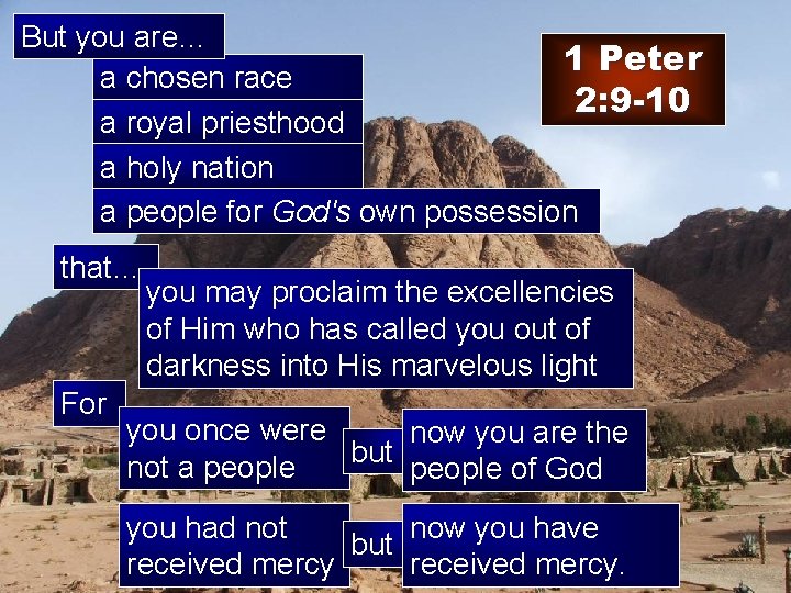 But you are… 1 Peter a chosen race 2: 9 -10 a royal priesthood